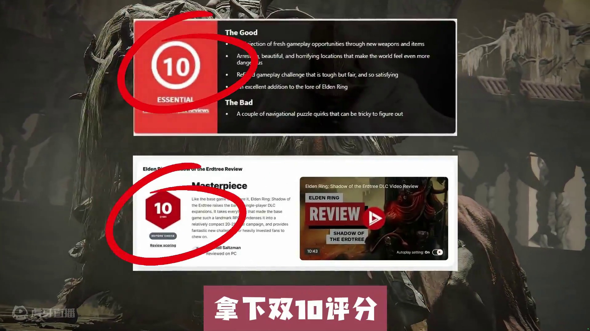法环DLC双10评分再创新历史盘点黄金树之影适合开荒的武器 #steam游戏 #艾尔登法环 #黄金树
