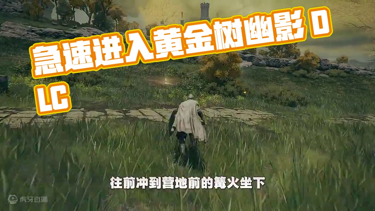 艾尔登法环黄金树幽影 小号急速进入方法，不升级1小时搞定#艾尔登法环 #艾尔登法环攻略 #黄金树幽影