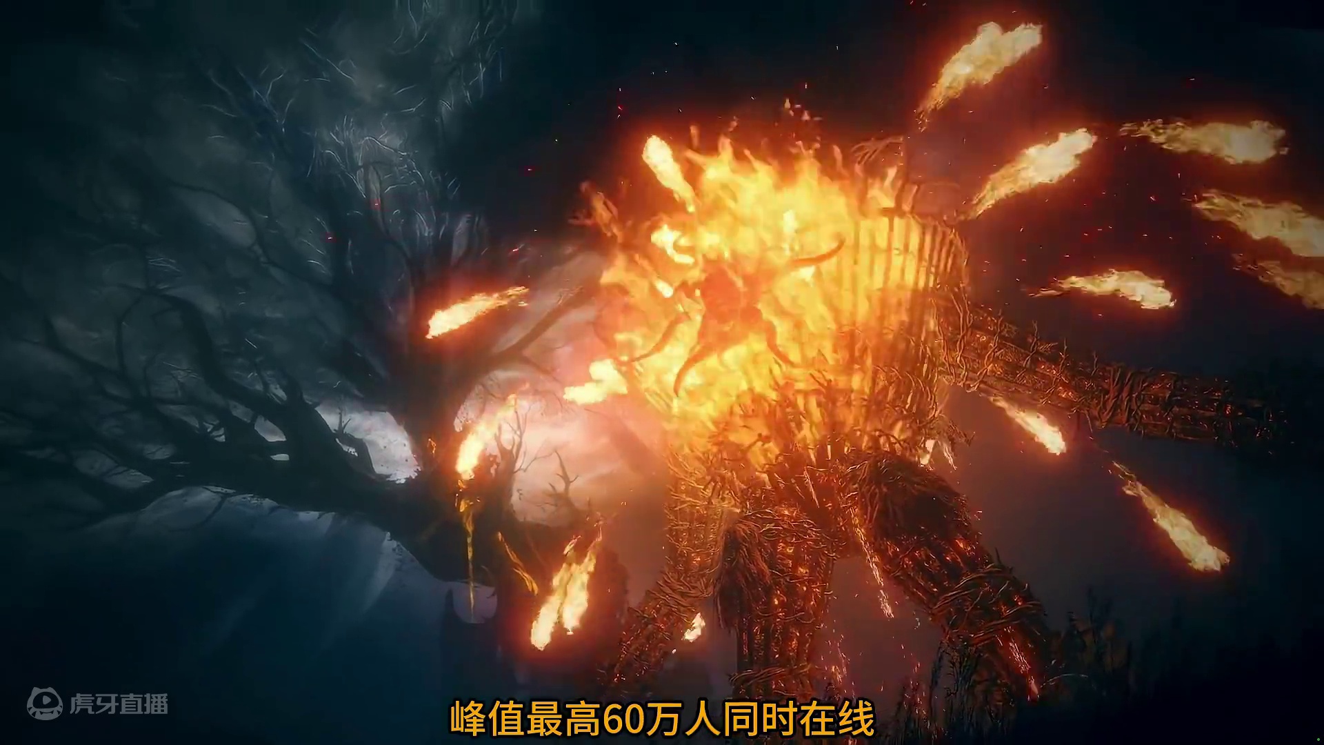 艾尔登法环黄金树幽影，艾尔登的王在幽影地被打成狗#艾尔登法环 #steam游戏