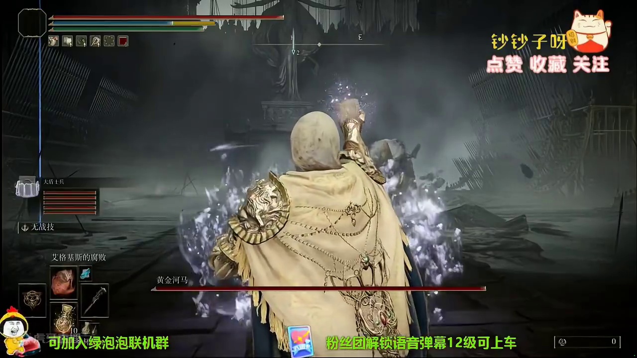 黄金树之影9周目开荒，还有人卡在黄金河马的吗？！ #主机游戏 #艾尔登法环 #黄金树之影 #游戏 #