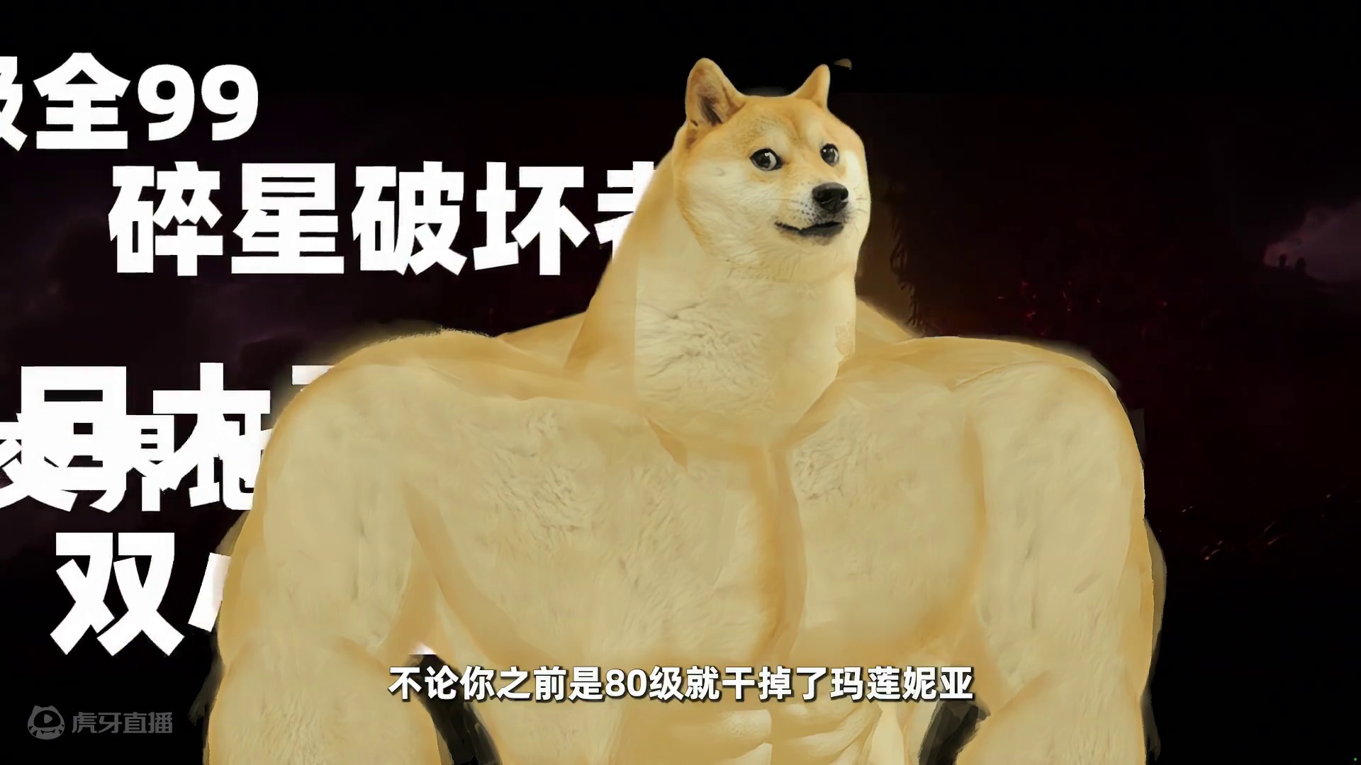 站住！进法环DLC前请务必查看这份清单！ #艾尔登法环 #还得是主机大作 #老头环 #主机游戏