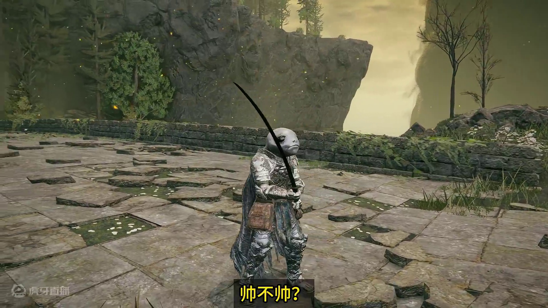 肝了我一天，这支线也太长了吧！#艾尔登法环 #还得是主机大作  #游戏内容风向标  #游戏鉴赏家 #