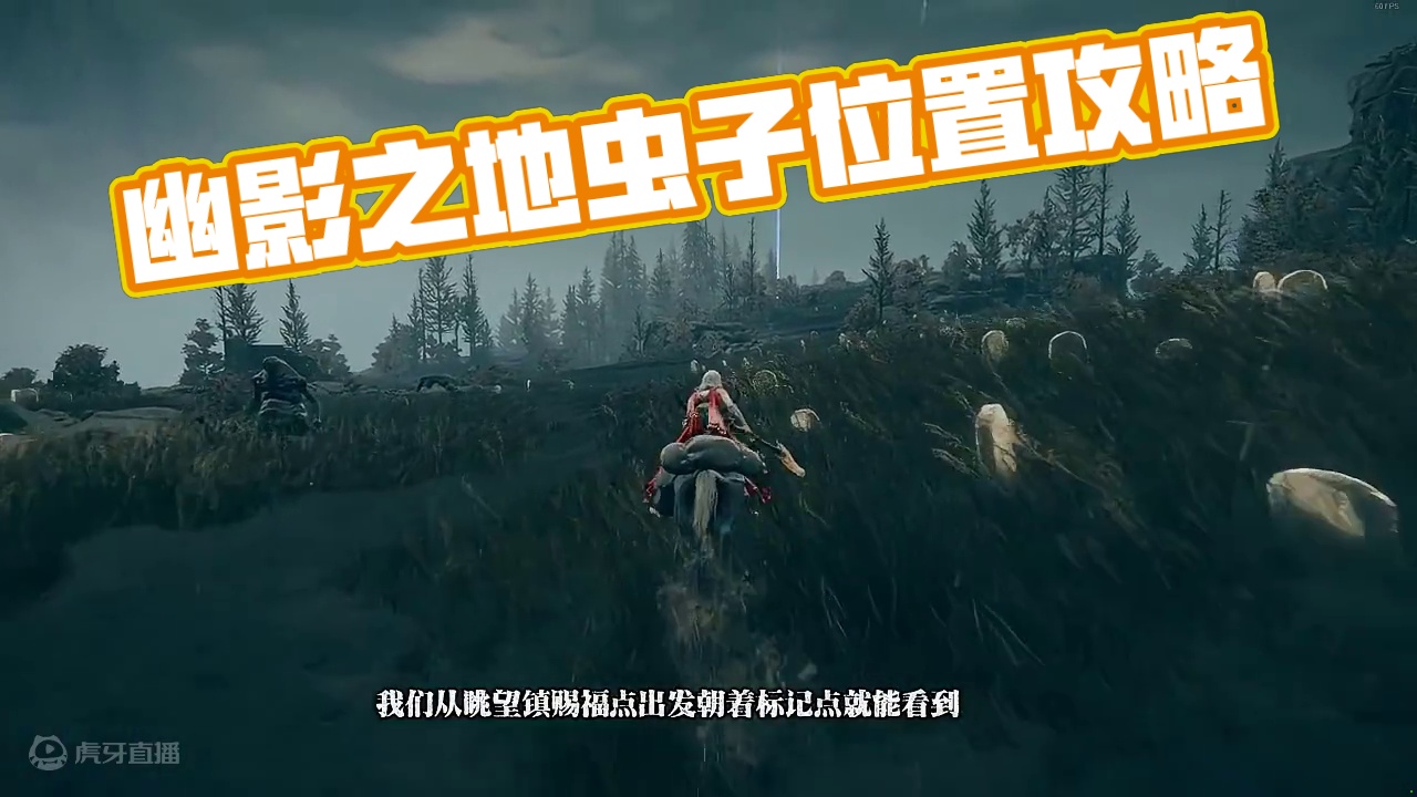 前有可爱，千万别攻击，幽影之地全部6个集物虫位置 #艾尔登法环dlc #艾尔登法环攻略 #黄金树之影