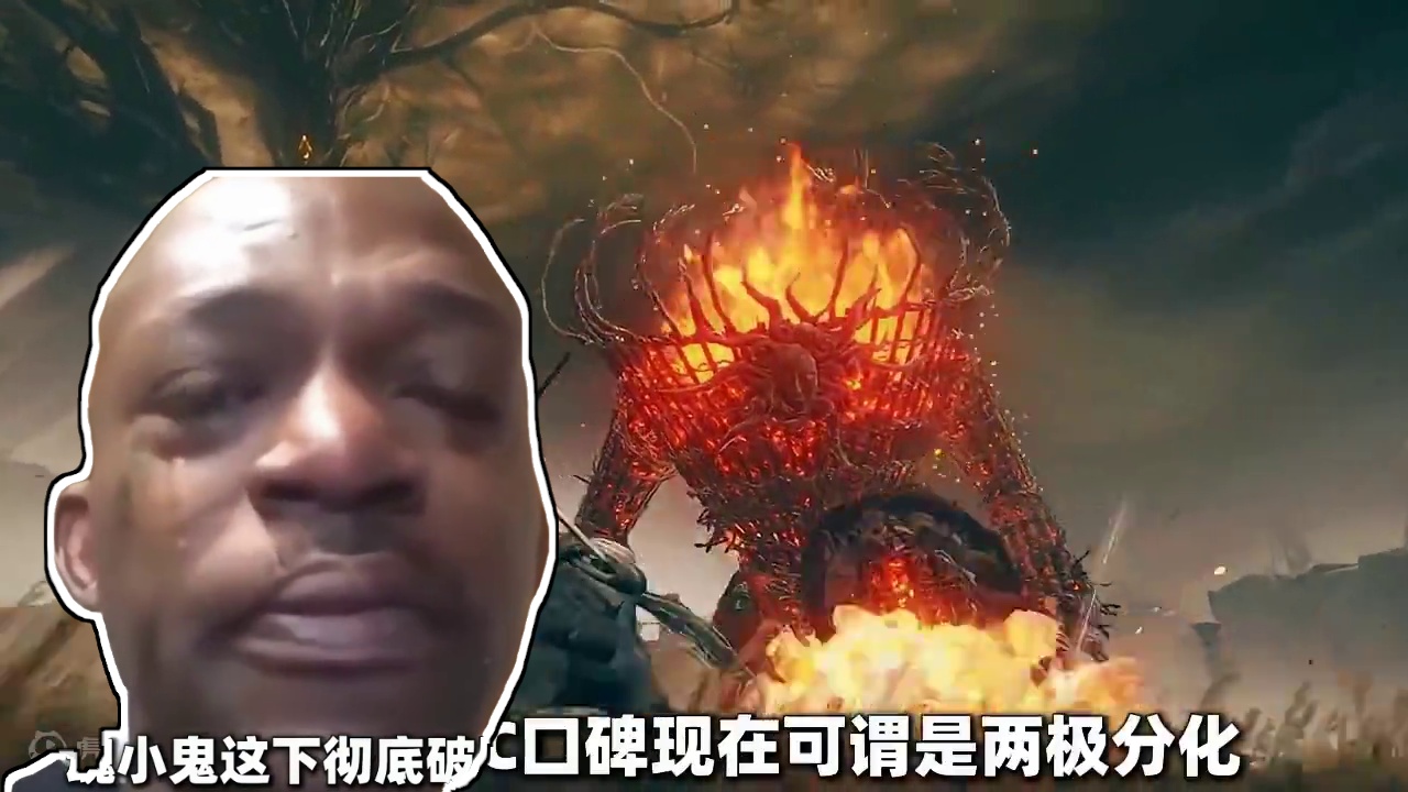 宫崎英高滑跪，老头环DLC优化难度曲线！ #艾尔登法环 #steam游戏 #黄金树之影