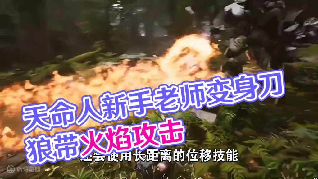 【黑神话：悟空】天命人最好的新手老师！变身会火攻的刀狼教头 #黑神话悟空 #还得是主机大作 #天命人