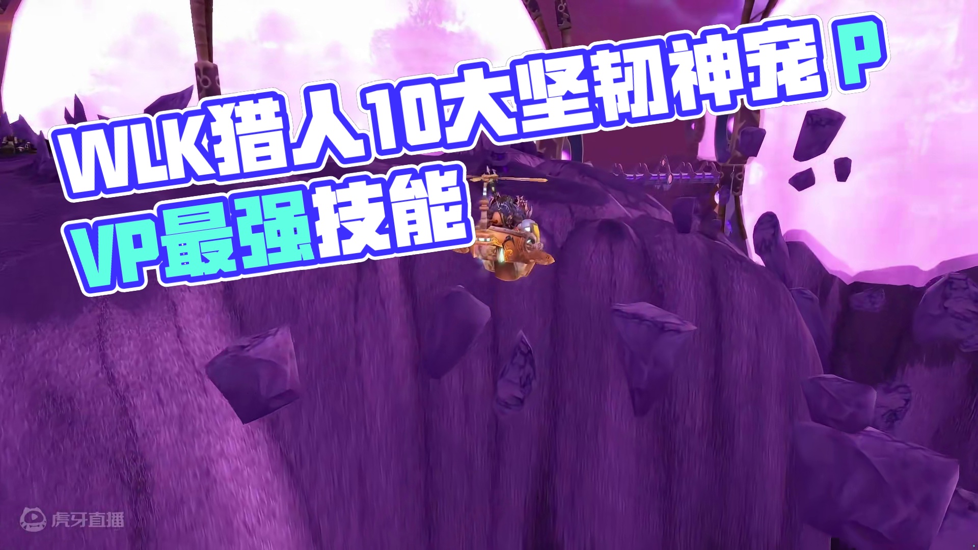 WLK猎人10大坚韧系宠物 坚韧系好多神宠 #魔兽世界 #魔兽世界怀旧服 #我们比你们多一个世界 #