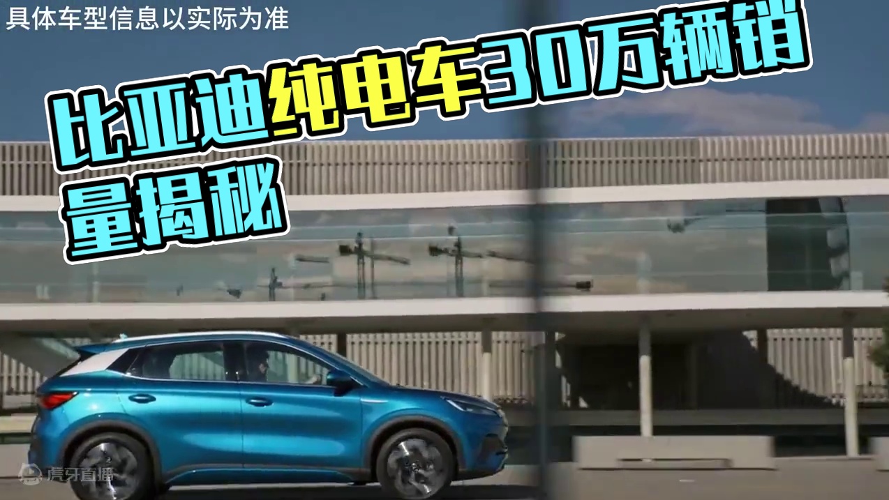 比亚迪你推荐的纯电车是哪一款？ #比亚迪海鸥 #比亚迪元puls