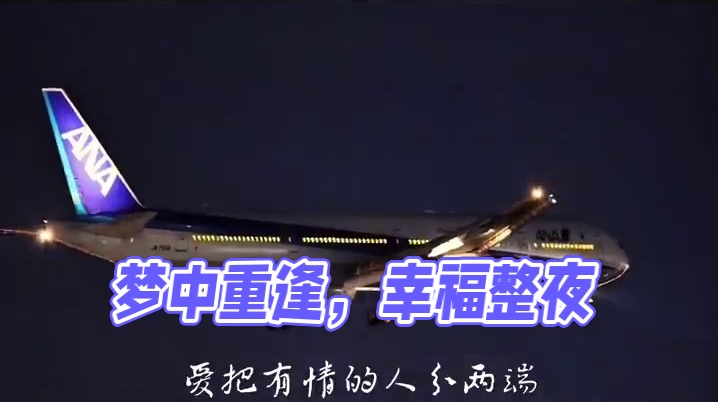 城里的月光把梦照亮， 请守护它身旁，若有一天能重逢，让幸福撒满整个夜晚。