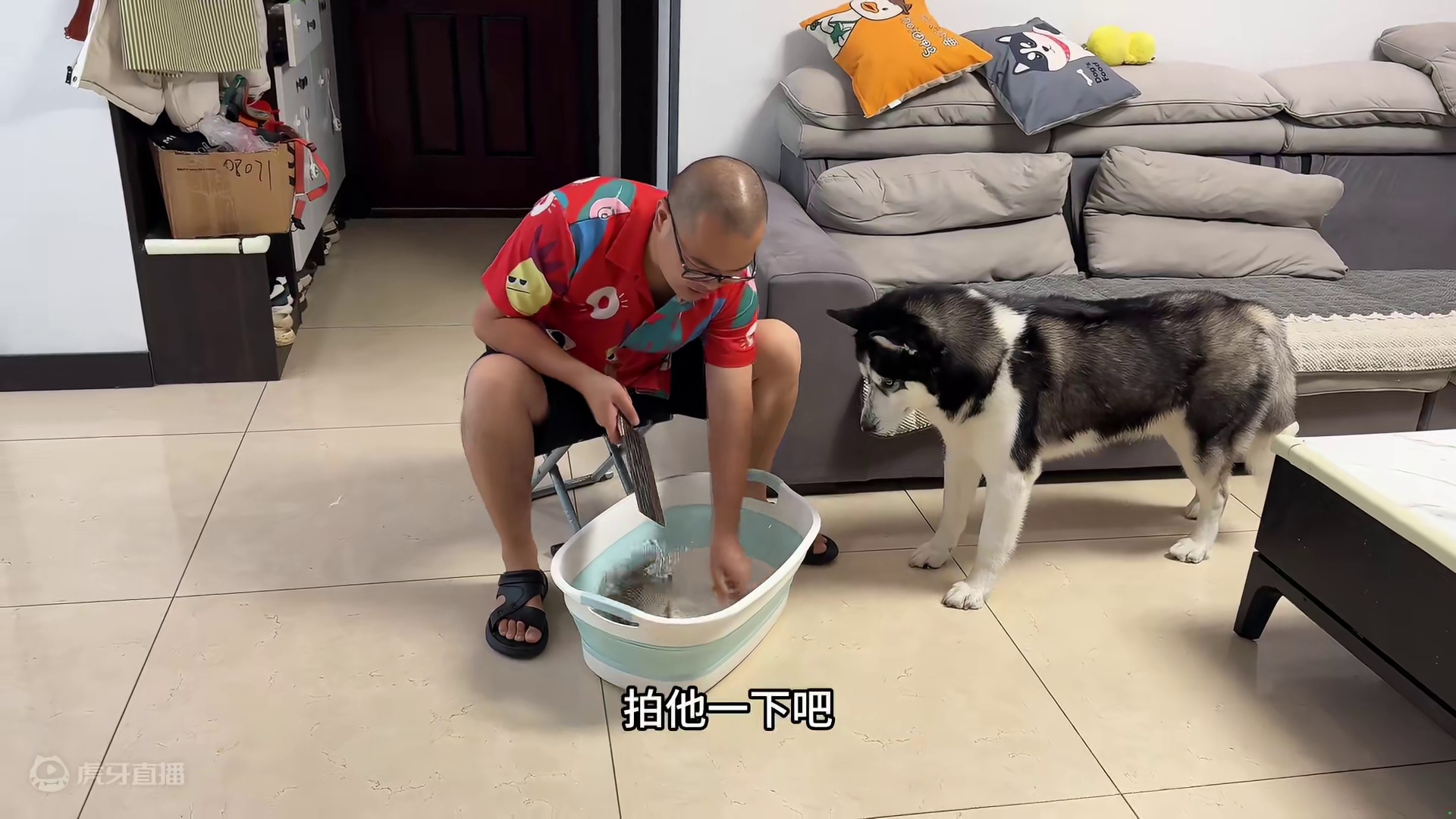 看到主人杀鱼，狗狗非要来看热闹，结果下一秒就悲剧了，惹火上身 #二哈 #萌宠出道计划 #动物的迷惑行