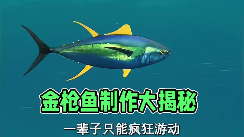 真没想到经常吃的金枪鱼罐头竟然是这样制作的#金枪鱼 #罐头 #科普