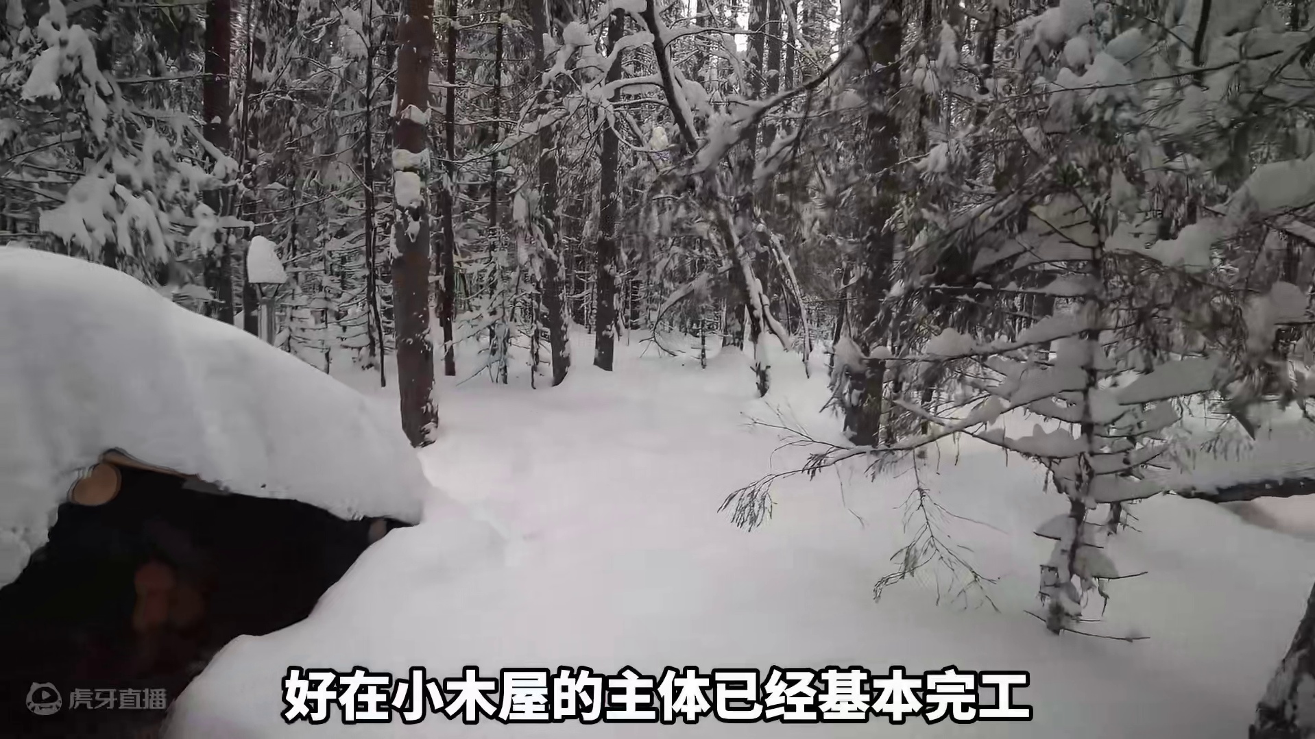 雪地里的小木屋，男人增加窗户设计木床 #雪地露营 #野外生活纪录片 #庇护所 #荒野建造