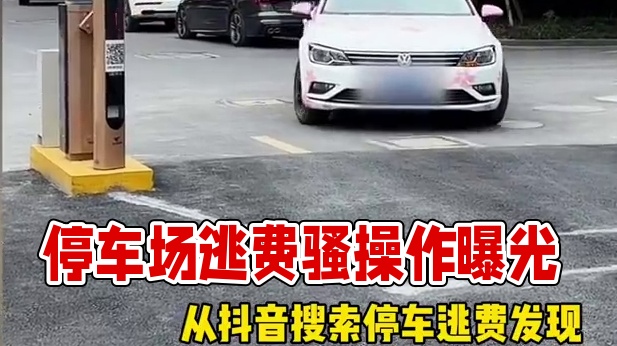 停车场的逃费行为是越来越多了！#停车 #逃费 #汽车