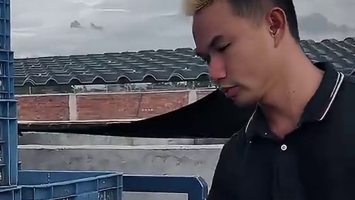 我和鳄鱼有一个电影梦#鳄鱼 #鳄珍 #鳄鱼养殖场 #鳄鱼皮带