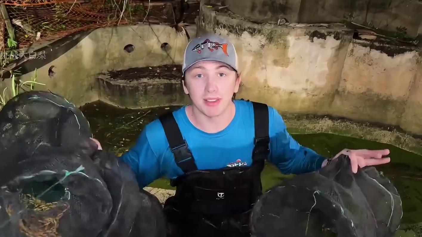 鲍比将揭晓袭击他的神秘生物 