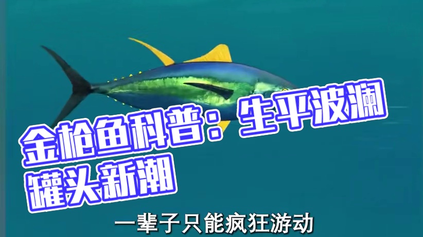 看完金枪鱼的一生后，你还会吃吗？#金枪鱼 #罐头 #科普