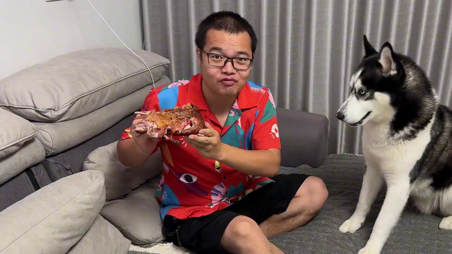 当主人吃烤鸭时突然晕倒，二哈会是啥反应？你们看完千万憋住别笑 #二哈 #哈士奇 #