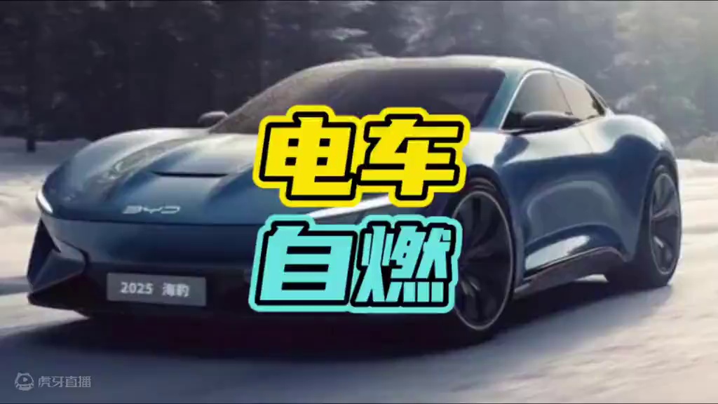 电车自燃究竟有多难灭火！#电车 #自燃 #安全