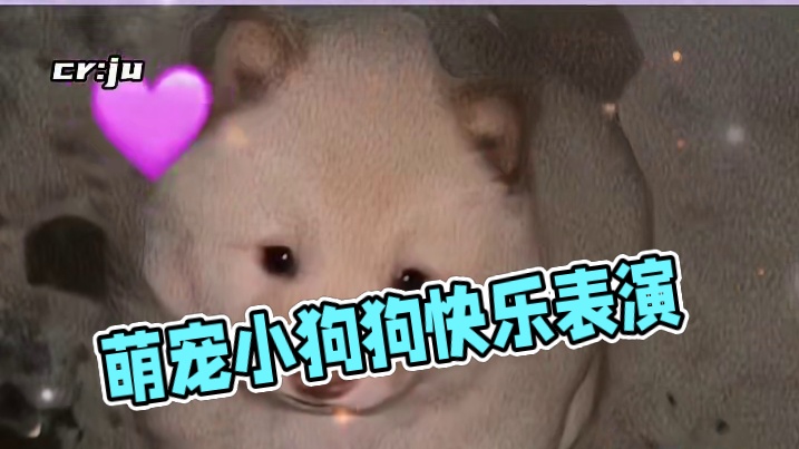 这是谁家的可爱宝宝啊#狗狗 #可爱到爆炸 #萌宠