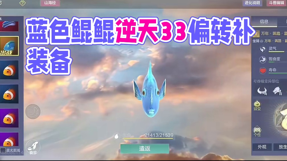 11条鱼里只有你一条是蓝色的 都没人看好你 偏偏就你最争气~ #妄想山海 #妄想山海鲲鲲福报 #搞笑