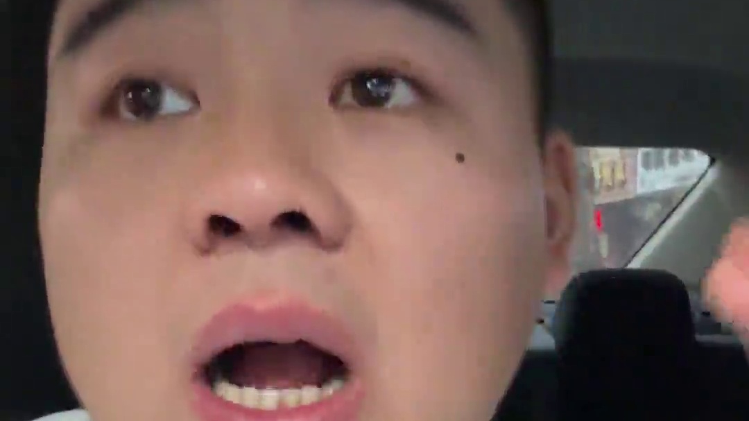 咱全国只有一家壮实说猫！#壮实说猫