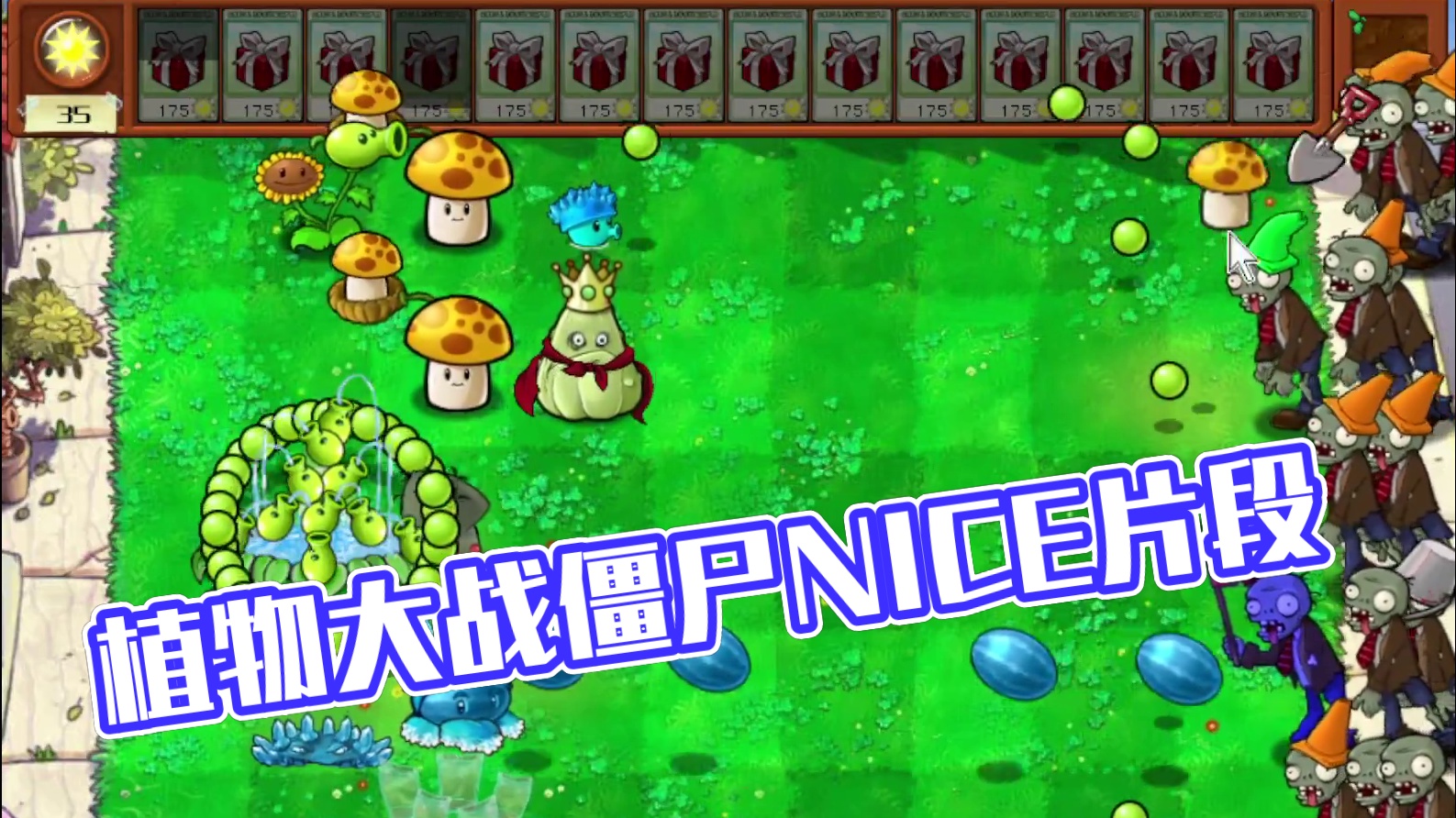 植物大战僵尸杂交版 片段1