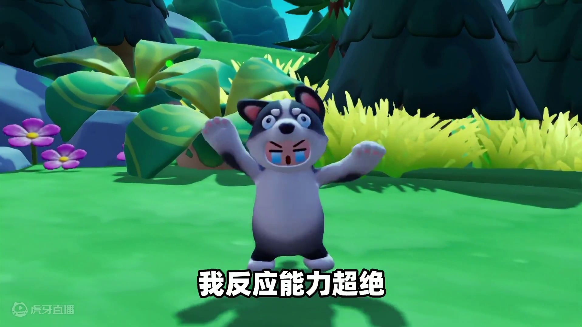 元梦之星：主播默契问答3.0！皮皮竟想继承他爸的媳妇？ #元梦之星 #元梦之星甜心乐园赛季 #游戏内