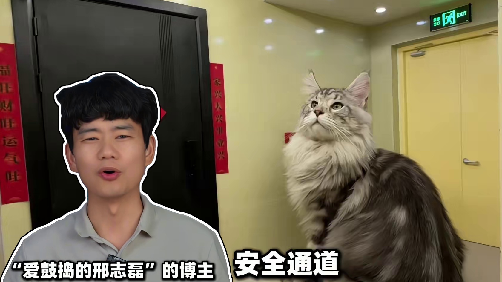 这可能是猫生最精彩的猫猫了吧！ #qq飞车手游 #猫和老鼠终有一战 #qq飞车雾山五行