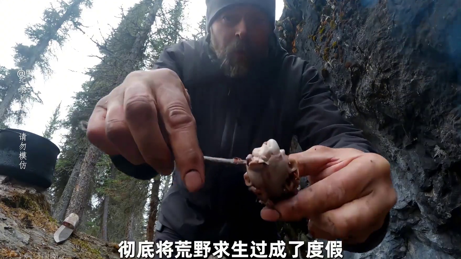 10人北极荒野求生，大佬们捕猎松鸡抓获野白兔，实现蛋白质自由 #荒野求生 #野外生存 #户外