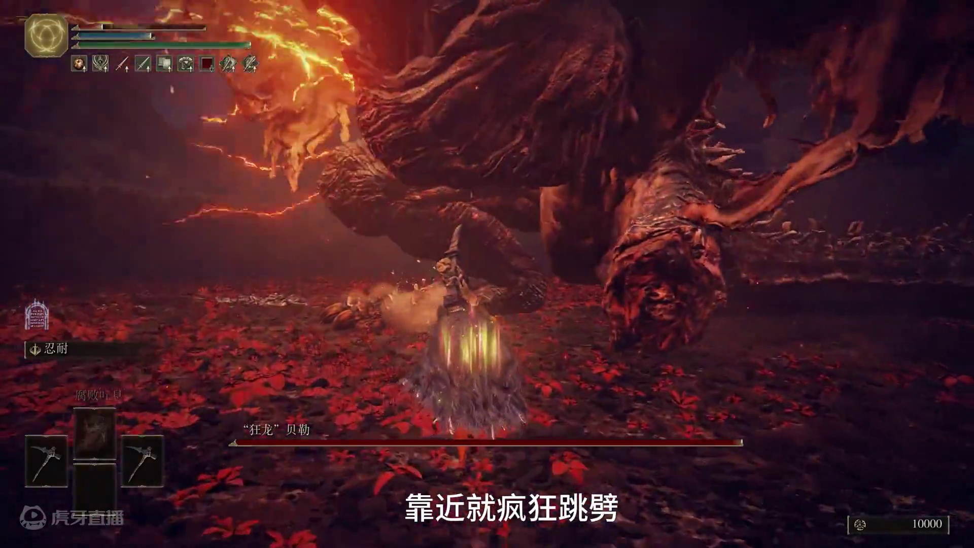 1级 禁加速跑/翻滚/战技/异常 狂龙贝勒 #艾尔登法环 #艾尔登法环dlc