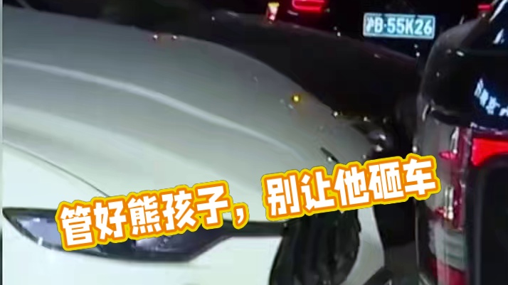 暑假管好熊孩子，千万别让他惹祸！