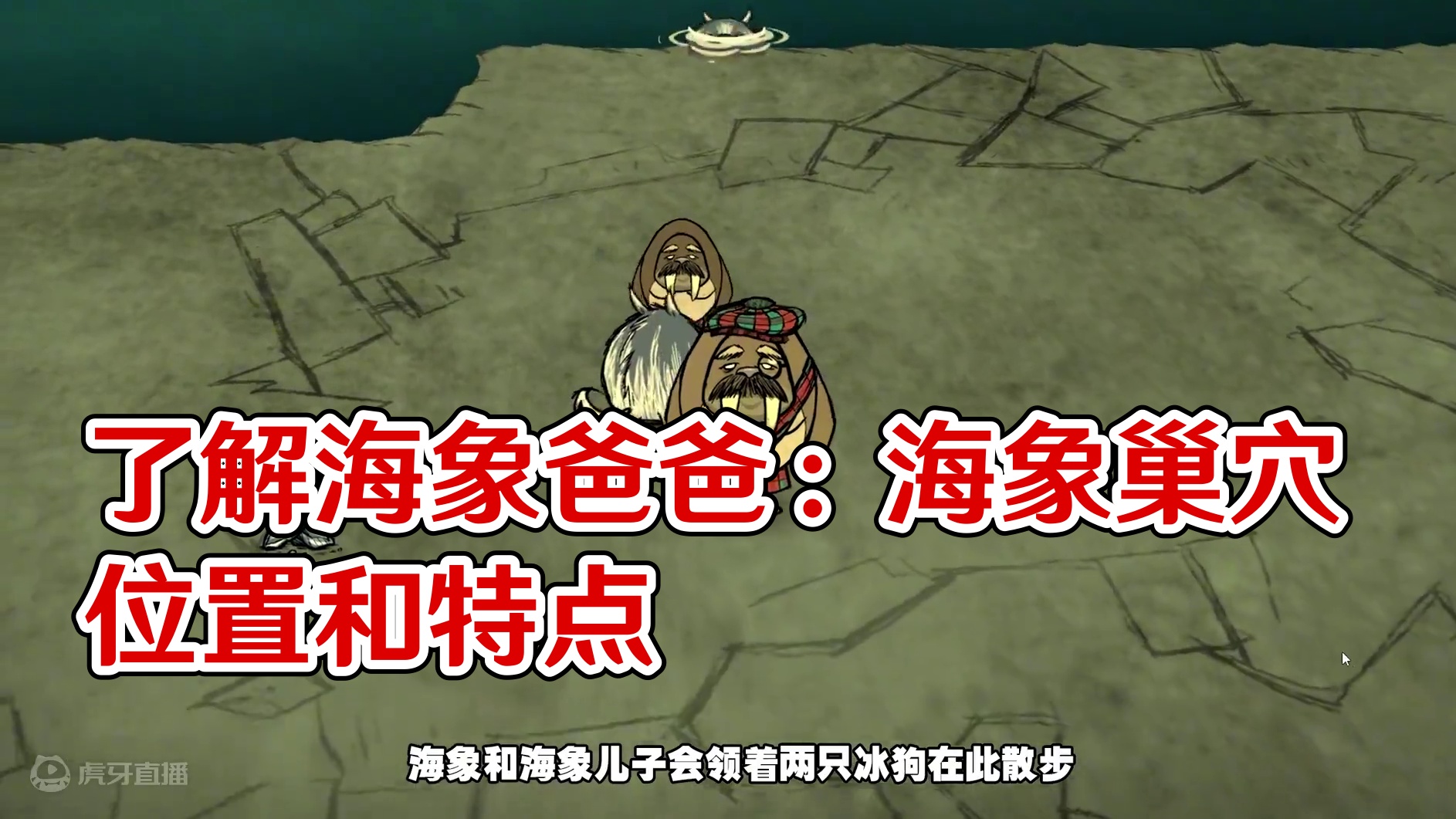 饥荒联机版：你真的了解海象爸爸吗？ #饥荒