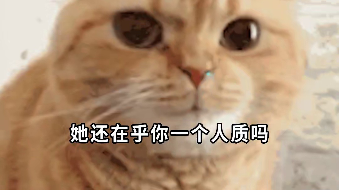 呼雷出狱听见镜流也在罗浮直接整沉默了#崩坏星穹铁道  #明霄竞武试锋芒 #镜流 #呼雷