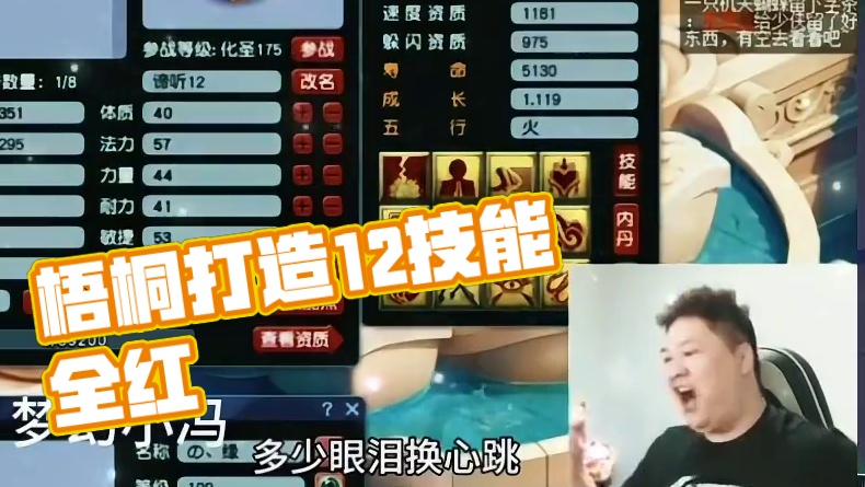 梧桐从0打造12技能全红谛听#梦幻西游创梦计划 #梦幻西游电脑版 #梦幻西游