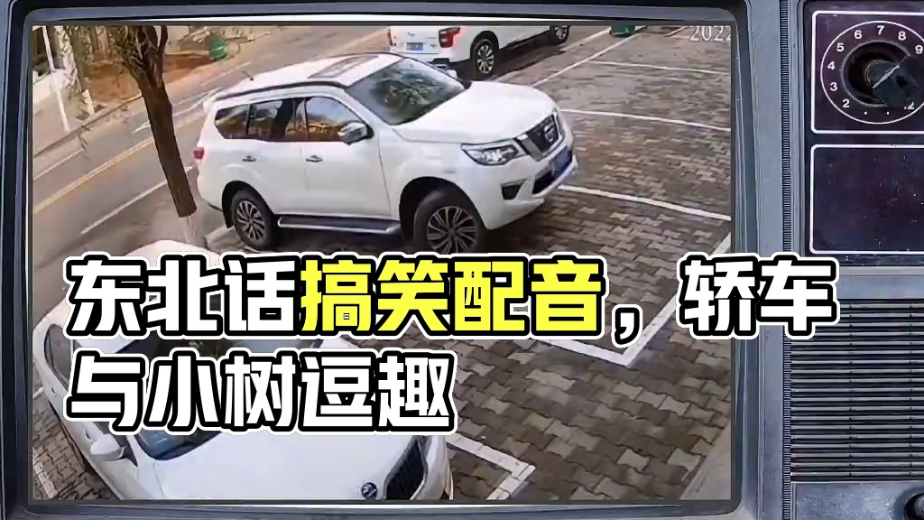 东北话搞笑配音，轿车躲不过的小树 #搞笑配音 #搞笑视频 #倒车入库技巧