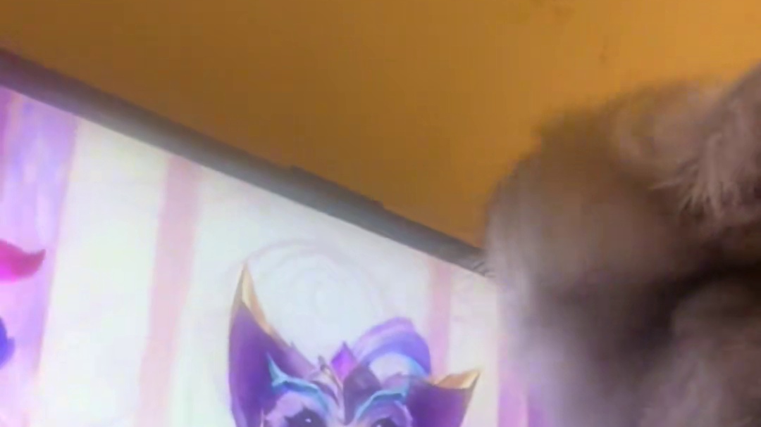 宝宝别舔了，它可是高贵的水晶玫瑰魔法猫咪，看不上咱的！ #lol手游水晶玫瑰 #lol手游进化海克斯