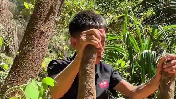 野外生存 第32集｜退潮赶海抓海鲜#户外 #野外生存 #海岛生活 #赶海