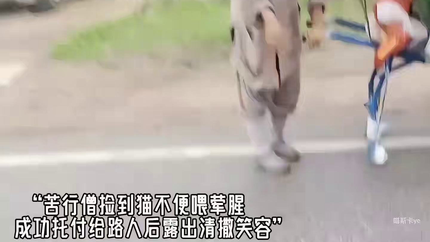 这一刻，小动物们都遇见了心软的神 #万物皆有灵性 #流浪#陪伴#暖心