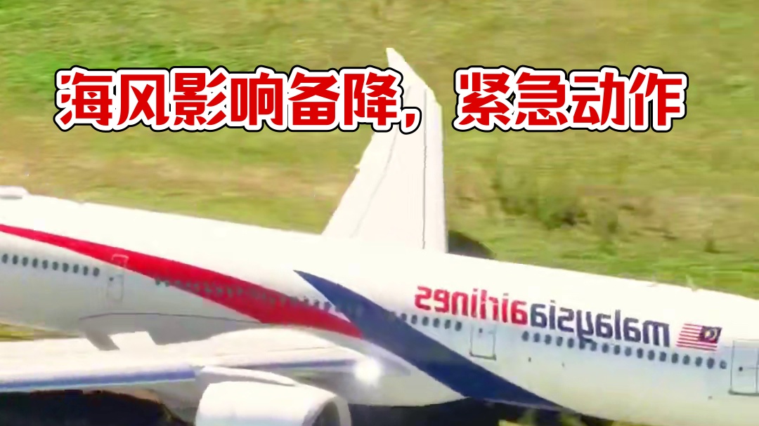 模拟器：海风影响到客机的备降，进场撞了一下头无奈做出紧急动作#飞机