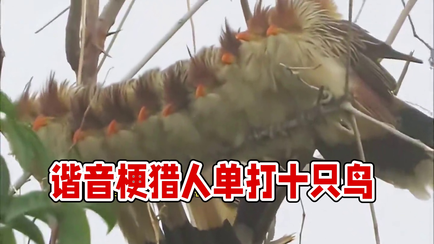 爸爸这是谐音梗啊 #搞笑配音