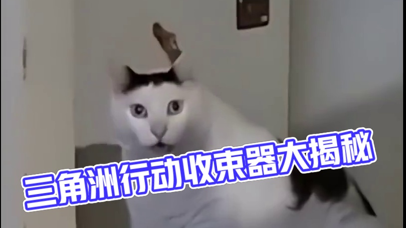 霰弹枪最大骗局：收束器 #三角洲行动 #三角洲行动双子测试 #三角洲行动新手教学 #三角洲行动定档9