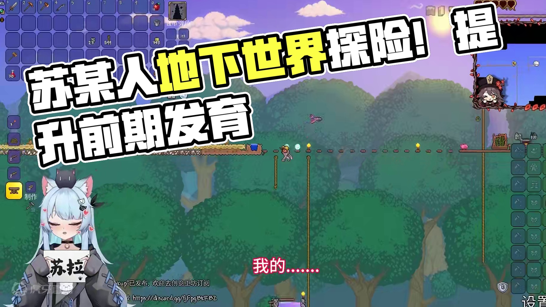 #泰拉瑞亚 第二期|我苏某人从不开挂！这是特性！游戏特性！