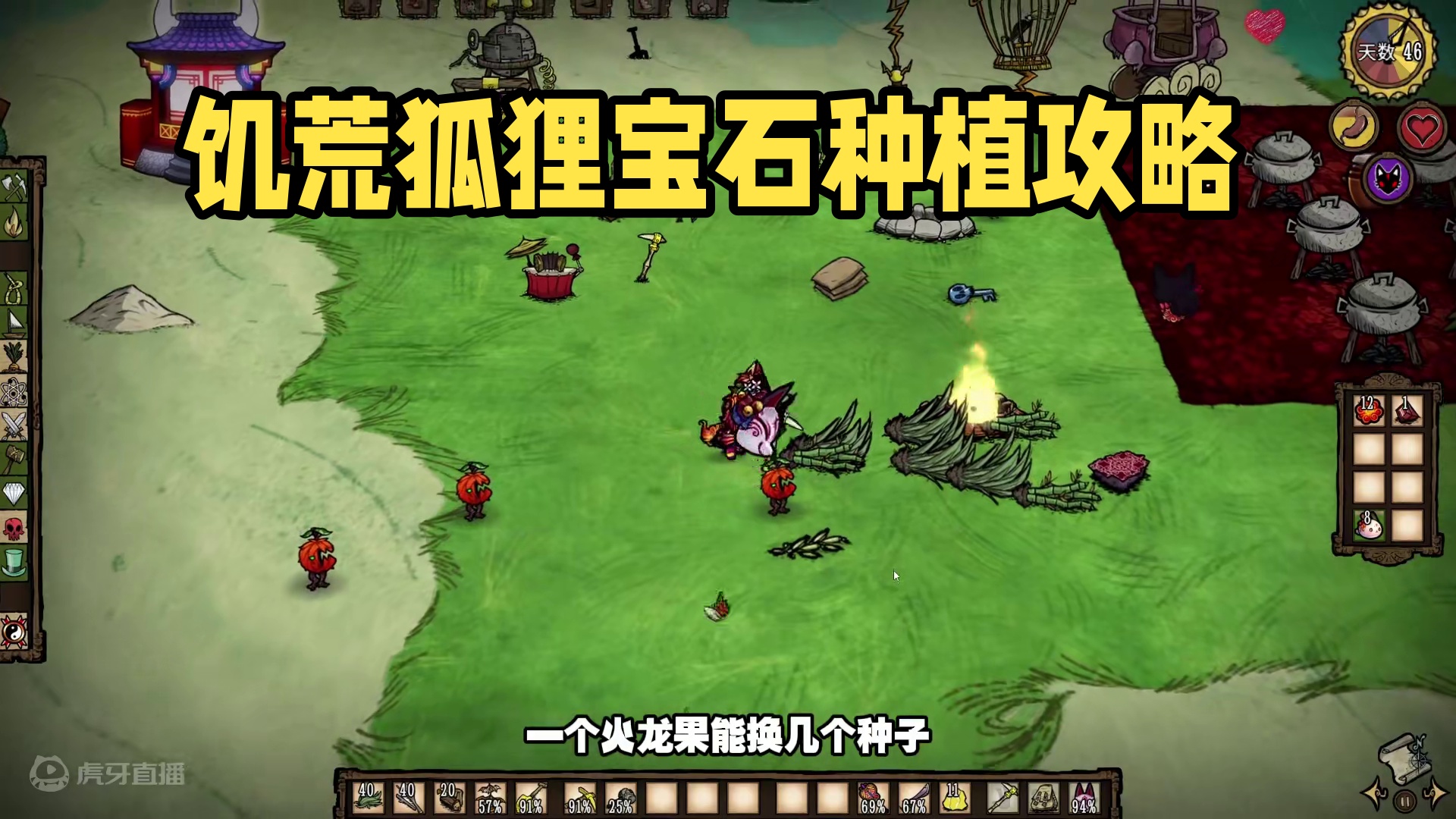 饥荒单机千年狐：第一次在火山中发现这么多的咖啡！ #饥荒