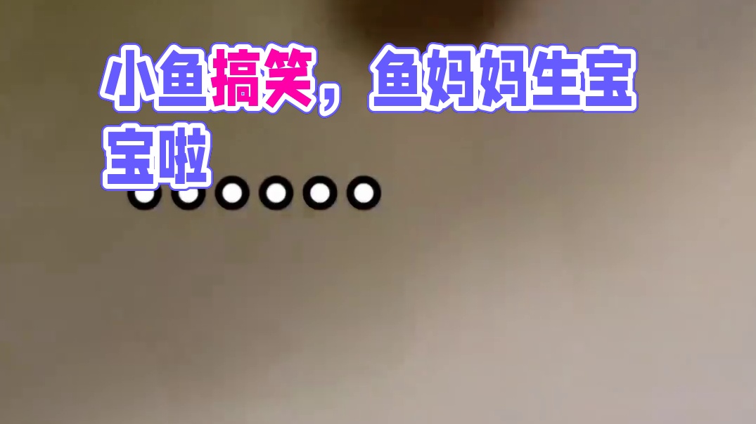 小鱼：费那劲生我，就是没口粮啦呗！！#小鱼 #搞笑 #万万没想到