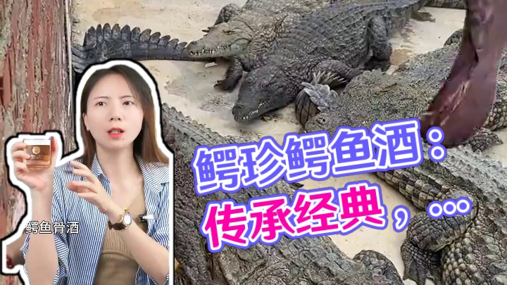 鳄珍鳄鱼酒：传承经典，创新科技，滋养未来