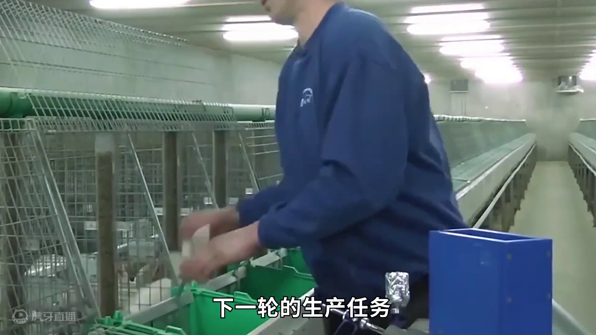 <第1/3集>肉兔的秘密，出生两个月即可上桌 #兔子 #养殖 #冷知识