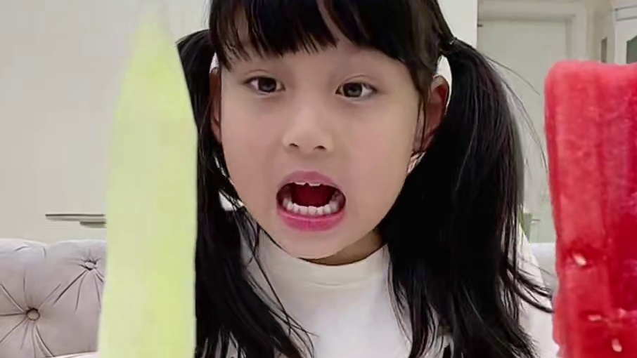 当我把家里的东西都换成｜水果制品｜ 