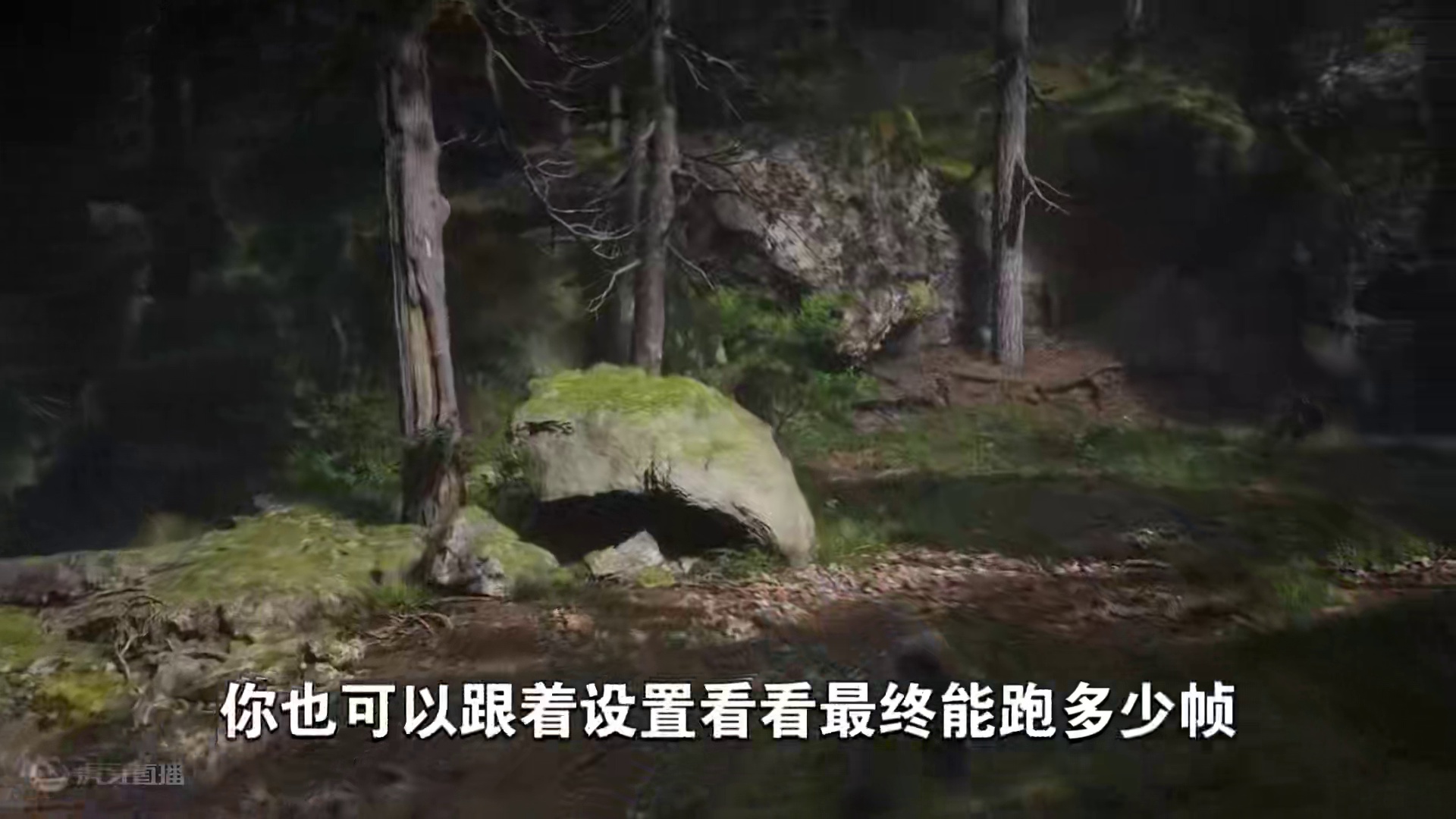 让你帧数翻倍！黑神话悟空画面优化设置来了 #黑神话悟空 #还得是主机大作 #游戏内容风向标 #游戏鉴