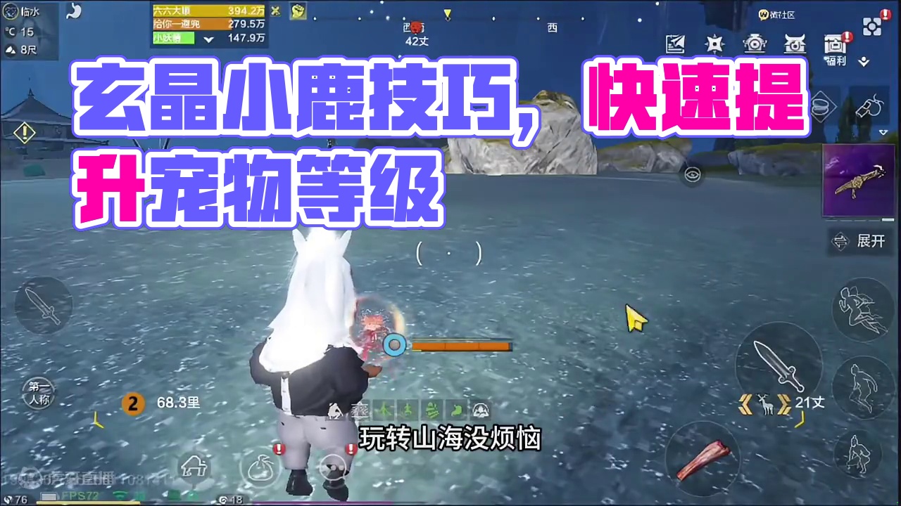 今日技巧第三期，玄晶小鹿聚集地，不光赚贝币，还可以挂宠物等级 #妄想山海 #妄想山海鲲鲲福报