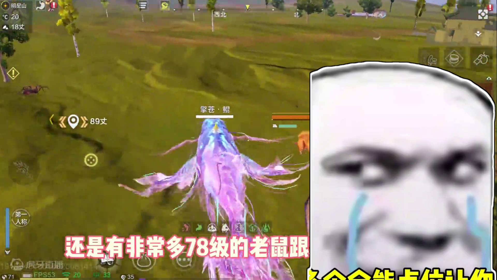 你还在因为宠物升不起等级而烦恼？多个点位让宠物升级快如闪电刷宠物经验，贝币，抓蓝蛋样样俱全，看到即赚