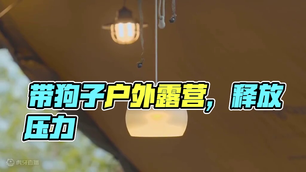 萌宠露营（二）带狗子去山里露营，把一周搬砖积累下来的压力都释放掉了~#露营 #萌宠 #助眠 #户外露